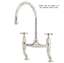 Picture of Perrin & Rowe: Perrin & Rowe Ionian 4192 Pewter Tap