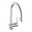 Picture of Abode: Abode Czar Pull Out Chrome Tap AT1240