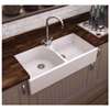 Picture of Thomas Denby Heritage 800 Double Bowl Ceramic Sink 