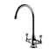 Picture of Clearwater: Clearwater Coriolis Chrome Tap
