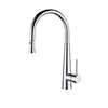 Picture of Clearwater Porrima Pull Out Chrome Tap