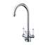 Picture of Clearwater: Clearwater Krypton Chrome Filter Tap