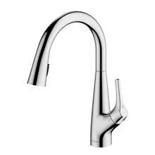 Picture of Clearwater Rosetta Chrome Filter Tap