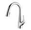 Picture of Clearwater: Clearwater Rosetta Chrome Filter Tap