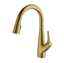 Picture of Clearwater: Clearwater Rosetta Brushed Brass Filter Tap