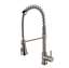 Picture of Clearwater: Clearwater Triton Detachable Brushed Nickel Tap