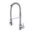 Picture of Clearwater: Clearwater Triton Detachable Chrome Tap
