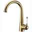 Picture of Clearwater: Clearwater Equinox Antique Brass Tap
