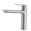 Picture of Clearwater Levant Brushed Nickel Tap