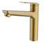 Picture of Clearwater: Clearwater Levant Pull Out Brushed Brass Tap