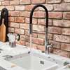 Picture of Clearwater Alasia Pro Chrome Tap