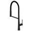 Picture of Clearwater: Clearwater Alasia Pro Matt Black Tap