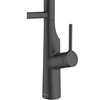 Picture of Clearwater Alasia Pro Matt Black Tap