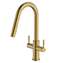 Picture of Clearwater: Clearwater Topaz Pull Out Brushed Brass Tap