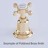 Picture of Perrin & Rowe Armstrong 3 in 1 Instant Hot Polished Brass Tap
