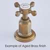 Picture of Perrin & Rowe Armstrong Mini Instant Hot Aged Brass Tap