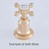 Picture of Perrin & Rowe Armstrong Mini Instant Hot Satin Brass Tap