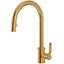 Picture of Perrin & Rowe: Perrin & Rowe Armstrong Pull Out Spray Polished Brass Tap
